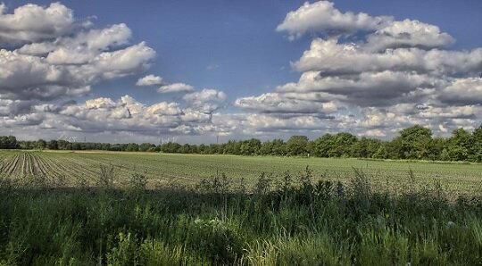 Jesuit Researcher Explains Alternative Forms of Land Ownership in South Africa Jesuit Researcher Explains Alternative Forms of Land Ownership in South Africa